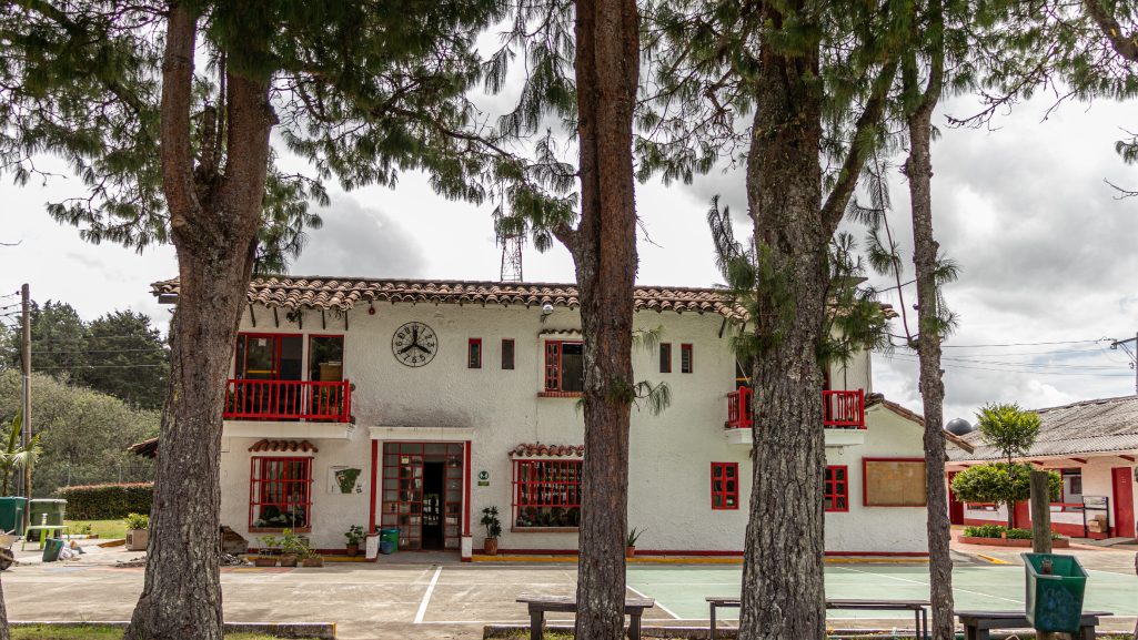 Foto COLEGIO ALCARAVANES